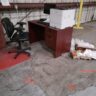 Junk Pro Dispatch