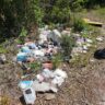 Dump Service Pros